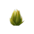 Small Cactus.png