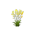 Yellow Flowers.png