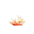 Coral.png